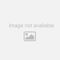 Can Liner, 17"x18"" Clear, Light Duty, Rolls, #300 (case)